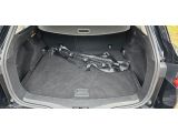 Renault Megane bei Sportwagen.expert - Abbildung (11 / 12)