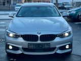 BMW 4er bei Sportwagen.expert - Abbildung (2 / 15)