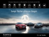 Mercedes-Benz 220 bei Sportwagen.expert - Abbildung (2 / 15)