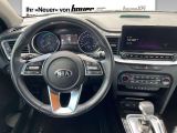 Kia XCeed bei Sportwagen.expert - Abbildung (5 / 12)