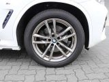 BMW X3 bei Sportwagen.expert - Abbildung (9 / 15)