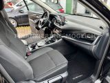 Nissan Qashqai bei Sportwagen.expert - Abbildung (15 / 15)