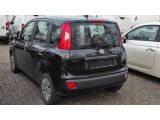 Fiat Panda bei Sportwagen.expert - Abbildung (4 / 10) Fiat Panda bei Sportwagen.expert - Abbildung (4 / 10)