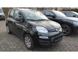 Fiat Panda bei Sportwagen.expert - Abbildung (6 / 10) Fiat Panda bei Sportwagen.expert - Abbildung (6 / 10)