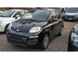 Fiat Panda bei Sportwagen.expert - Abbildung (2 / 10) Fiat Panda bei Sportwagen.expert - Abbildung (2 / 10)