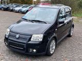 Fiat Panda bei Sportwagen.expert - Abbildung (11 / 12)