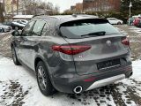 Alfa Romeo Stelvio bei Sportwagen.expert - Abbildung (5 / 12)