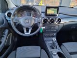 Mercedes-Benz B-Klasse bei Sportwagen.expert - Abbildung (12 / 15)