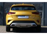 Kia XCeed bei Sportwagen.expert - Abbildung (8 / 15)