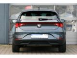 Seat Leon bei Sportwagen.expert - Abbildung (7 / 15)