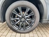 Mazda CX 5 bei Sportwagen.expert - Abbildung (7 / 15)