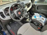 Fiat Panda bei Sportwagen.expert - Abbildung (10 / 15)