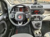 Fiat Panda bei Sportwagen.expert - Abbildung (12 / 15)