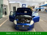 Fiat Punto bei Sportwagen.expert - Abbildung (5 / 15)