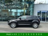 Land Rover Range Rover Evoque bei Sportwagen.expert - Abbildung (5 / 15)