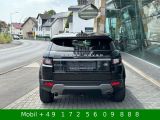 Land Rover Range Rover Evoque bei Sportwagen.expert - Abbildung (7 / 15)