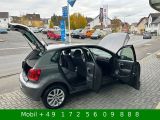 VW Polo V bei Sportwagen.expert - Abbildung (2 / 15)