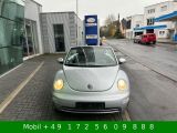 VW New Beetle bei Sportwagen.expert - Abbildung (2 / 15)