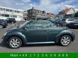 VW New Beetle bei Sportwagen.expert - Abbildung (4 / 15)