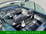 VW New Beetle bei Sportwagen.expert - Abbildung (2 / 15)