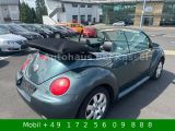 VW New Beetle bei Sportwagen.expert - Abbildung (12 / 15)