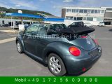 VW New Beetle bei Sportwagen.expert - Abbildung (5 / 15)