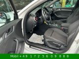 Audi A3 bei Sportwagen.expert - Abbildung (9 / 15)