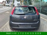 Fiat Grande Punto bei Sportwagen.expert - Abbildung (5 / 15)