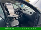 Skoda Octavia bei Sportwagen.expert - Abbildung (15 / 15)