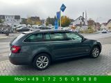 Skoda Octavia bei Sportwagen.expert - Abbildung (3 / 15)