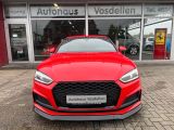 Audi S5 bei Sportwagen.expert - Abbildung (3 / 15)