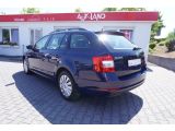 Skoda Octavia bei Sportwagen.expert - Abbildung (3 / 15)