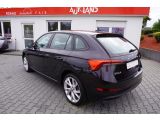 Skoda Scala bei Sportwagen.expert - Abbildung (3 / 15)