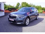 Skoda Kamiq bei Sportwagen.expert - Abbildung (2 / 15)