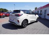 Ford Puma bei Sportwagen.expert - Abbildung (5 / 15)