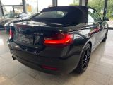 BMW 2er bei Sportwagen.expert - Abbildung (14 / 15)