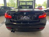 BMW 2er bei Sportwagen.expert - Abbildung (12 / 15)