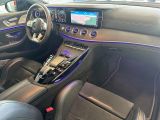 Mercedes-Benz GT-Klasse bei Sportwagen.expert - Abbildung (12 / 15)