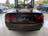 Audi A5 Cabriolet bei Sportwagen.expert - Abbildung (9 / 15)