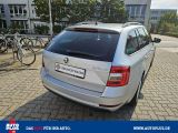 Skoda Octavia bei Sportwagen.expert - Abbildung (8 / 15) Skoda Octavia bei Sportwagen.expert - Abbildung (8 / 15)