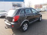 Opel Antara bei Sportwagen.expert - Abbildung (5 / 15)