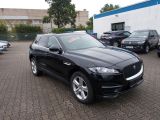 Jaguar F-Pace bei Sportwagen.expert - Abbildung (3 / 15)