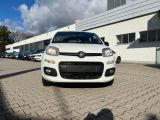 Fiat Panda bei Sportwagen.expert - Abbildung (6 / 15)