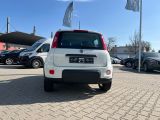 Fiat Panda bei Sportwagen.expert - Abbildung (3 / 15)