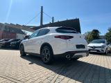 Alfa Romeo Stelvio bei Sportwagen.expert - Abbildung (2 / 15)