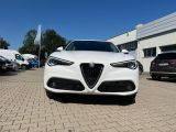 Alfa Romeo Stelvio bei Sportwagen.expert - Abbildung (6 / 15)