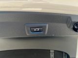 BMW 4er bei Sportwagen.expert - Abbildung (8 / 15)