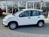 Fiat Panda bei Sportwagen.expert - Abbildung (2 / 15) Fiat Panda bei Sportwagen.expert - Abbildung (2 / 15)