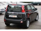 Fiat Panda bei Sportwagen.expert - Abbildung (6 / 15) Fiat Panda bei Sportwagen.expert - Abbildung (6 / 15)