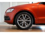 Audi SQ5 bei Sportwagen.expert - Abbildung (2 / 15)